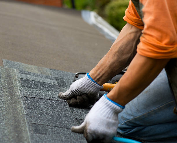 Best Local Roofing Companies  in San Martin, CA