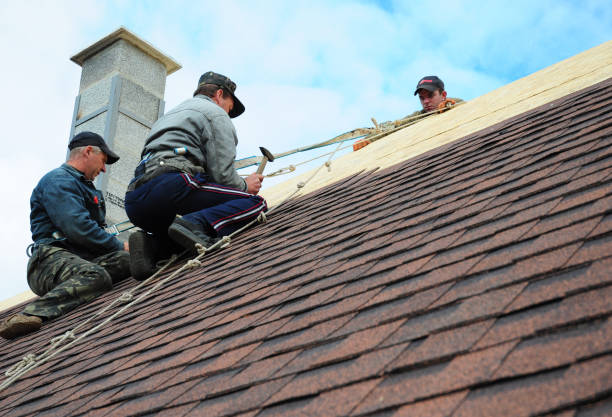 Best Metal Roofing Contractor  in San Martin, CA